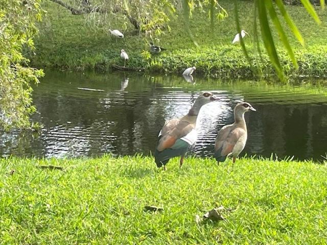 Coastal Townhome In Jupiter 1 Mile To Beach! Esterno foto